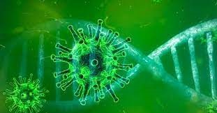 NUEVAS MEDIDAS DEL COLEGIO ANTE LA SUSPENSIÓN DE LA JUSTICIA  Y COVID 19 EXIMICION PAGO SETIEMBRE Y PRORROGA DE NO APLICACION INTERESES