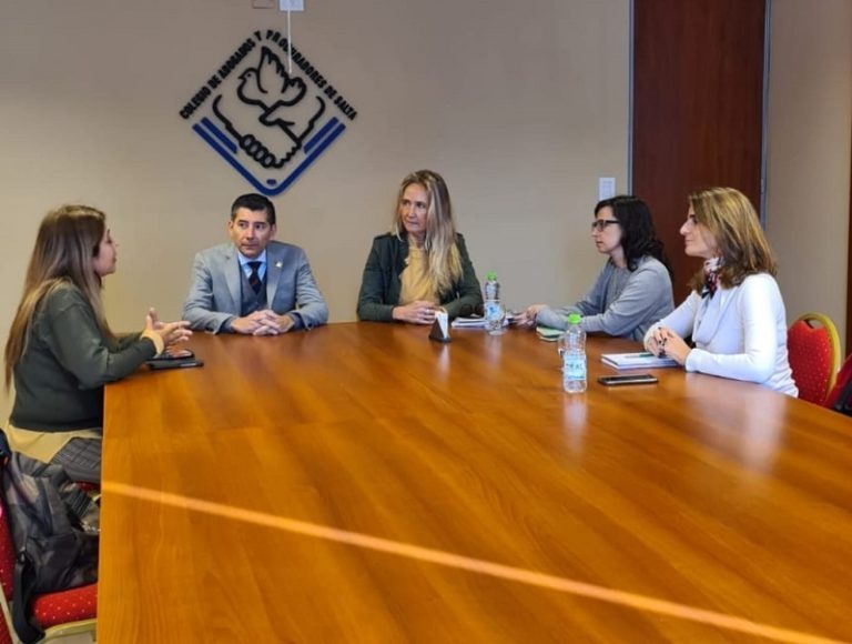 EL COLEGIO DE ABOGADOS Y PROCURADORES DE LA PROVINCIA DE SALTA CONCRETARÁ LA CAPACITACIÓN EN LEY MICAELA