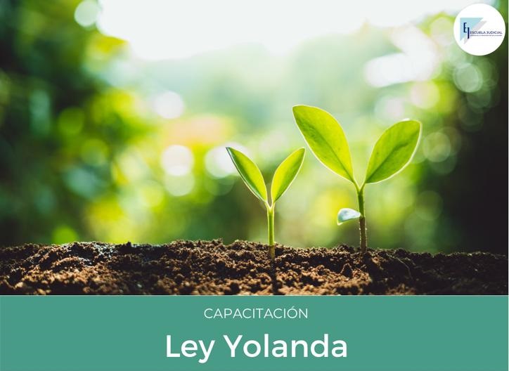 CAPACITACIÓN  – LEY YOLANDA