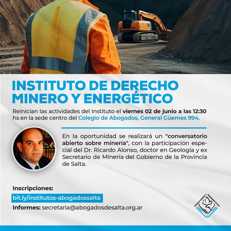 REUNIÓN DEL INSTITUTO DE DERECHO MINERO Y ENERGÉTICO