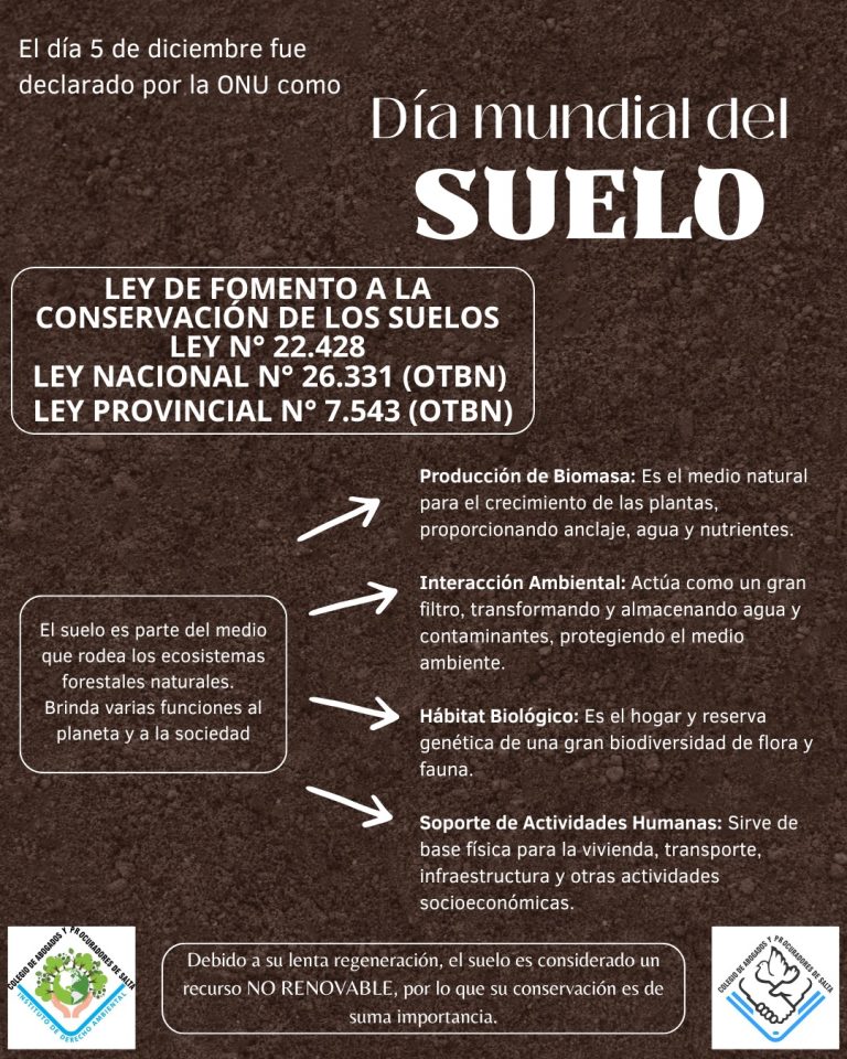 DÍA MUNDIAL DEL SUELO